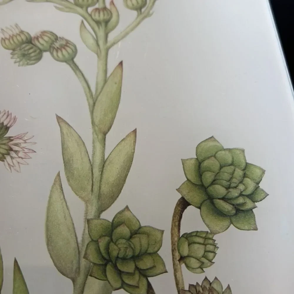 Pottery Barn Glass Succulent Decoupage Tray